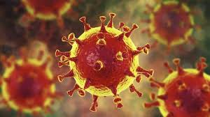 Auf dem Bild sieht man ein Virus